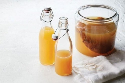 Hướng dẫn cách nuôi SCOBY