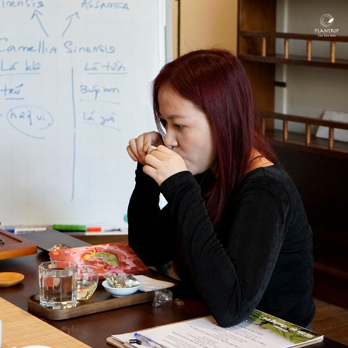 Các bạn chưa có kinh nghiệm hoặc mới tìm hiểu về trà vẫn có thể tham gia buổi workshop.