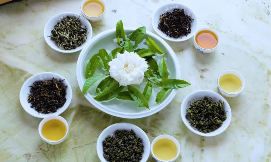 Tìm hiểu về các loại trà trên thế giới - Kiến thức cơ bản từ A-Z | Plantrip Cha