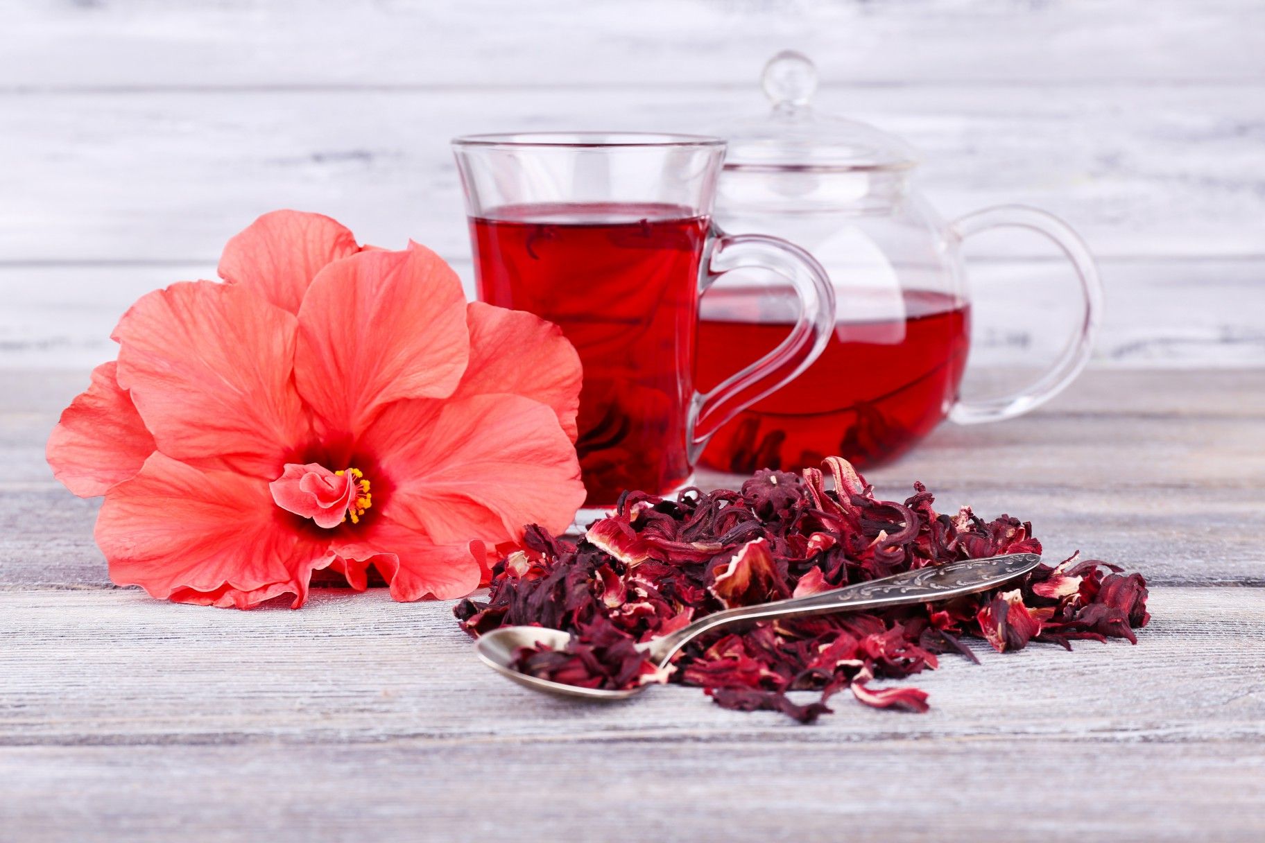 Trà Hoa Hibiscus phù hợp với tính cách sôi nổi, lạc quan của cung Sư Tử (Ảnh: sưu tầm)