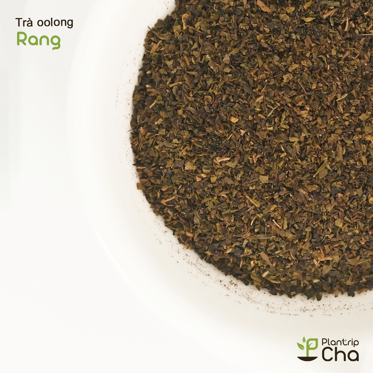 Trà oolong Rang.