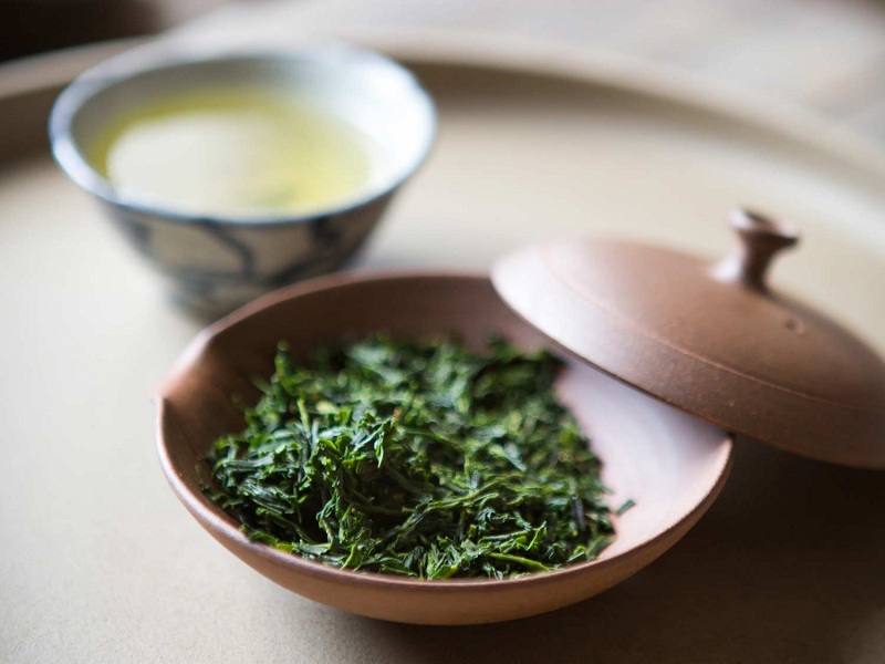 Sencha Nhật Bản