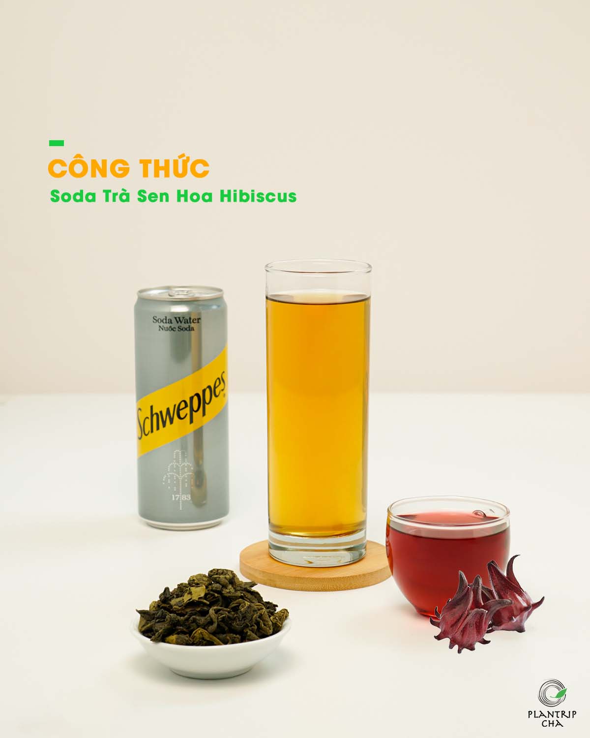 Trà Xanh Sen AT pha Soda Trà Sen Hibiscus.