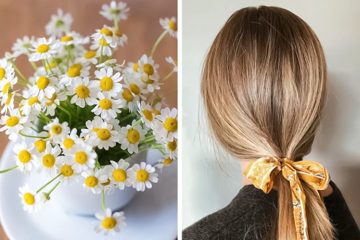 Sở hữu màu tóc vàng nổi bật tự nhiên bằng cách sử dụng mặt nạ ủ tóc với trà hoa cúc (Ảnh: sưu tầm)