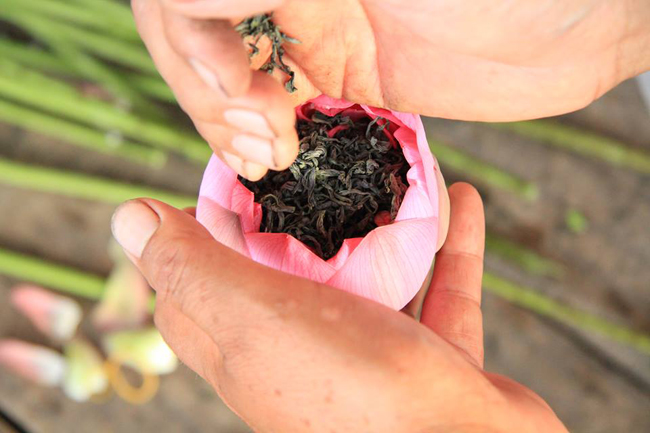 ướp trà sen