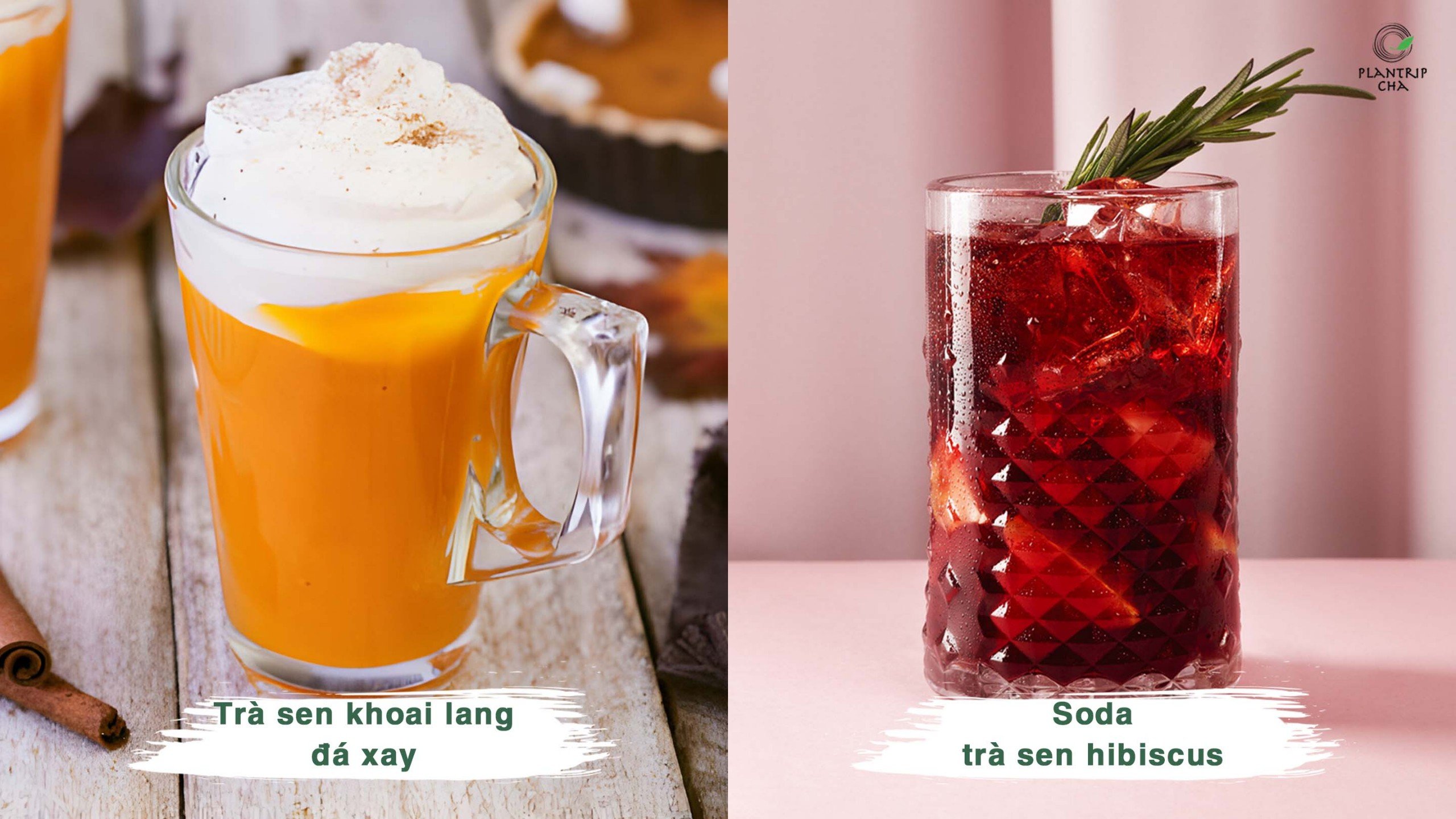 Các tuyệt phẩm làm từ Trà Xanh Sen: trà sen khoai lang đá xay, Soda trà sen hibiscus.