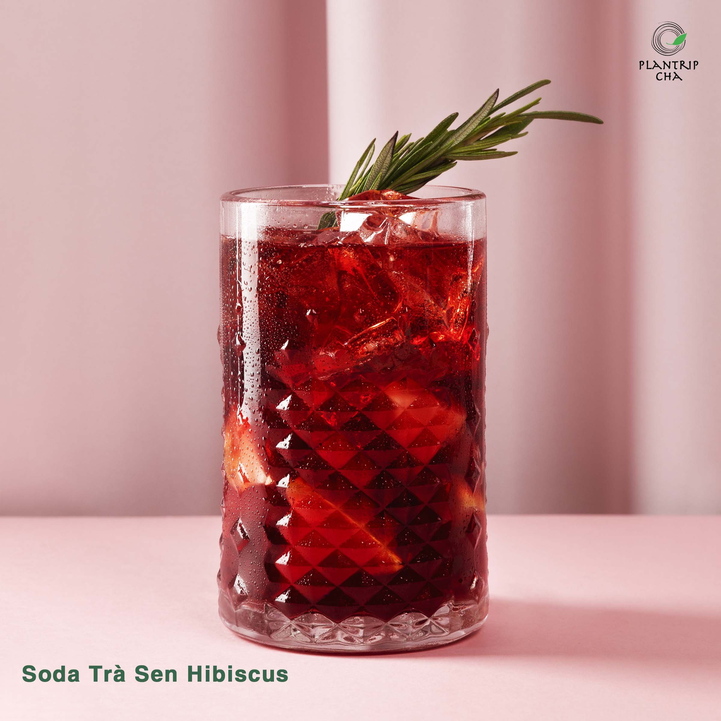 Trà Xanh Sen AT pha Soda trà sen hibiscus