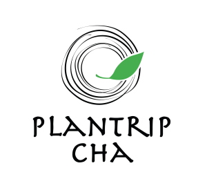 Plantrip Cha