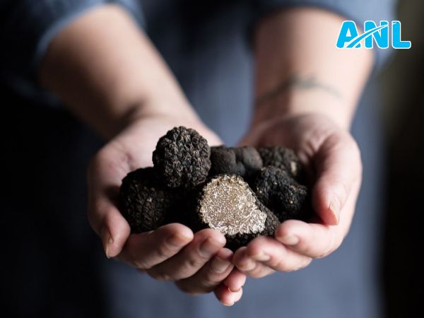 Nấm truffle của giới ẩm thực