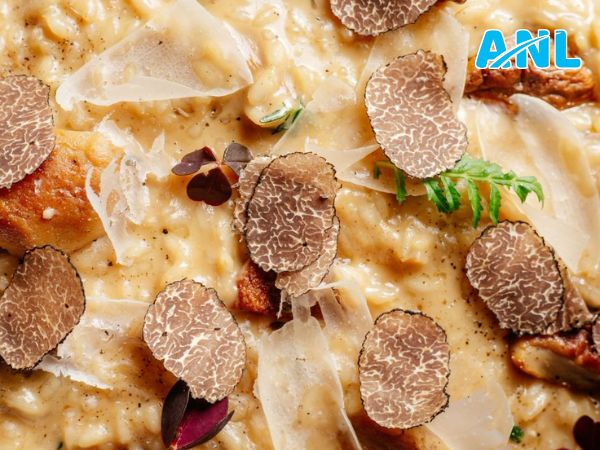 Lý do nên chọn bột nấm truffle