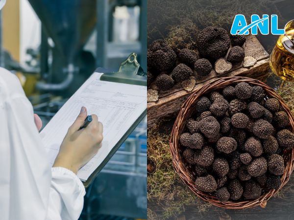 Doanh nghiệp ứng dụng nấm truffle
