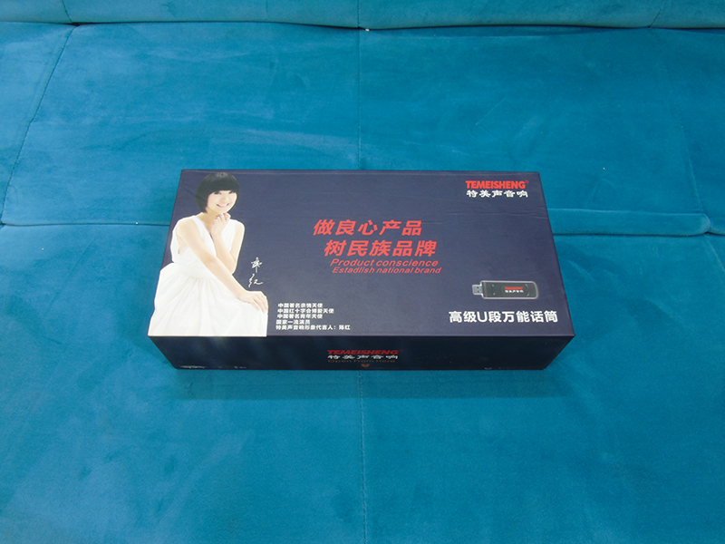 Bộ micro không dây Temeisheng