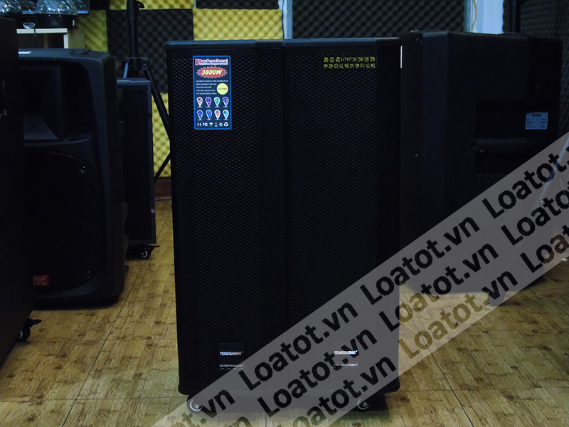 Loa kéo di động Temeisheng GD 15-14