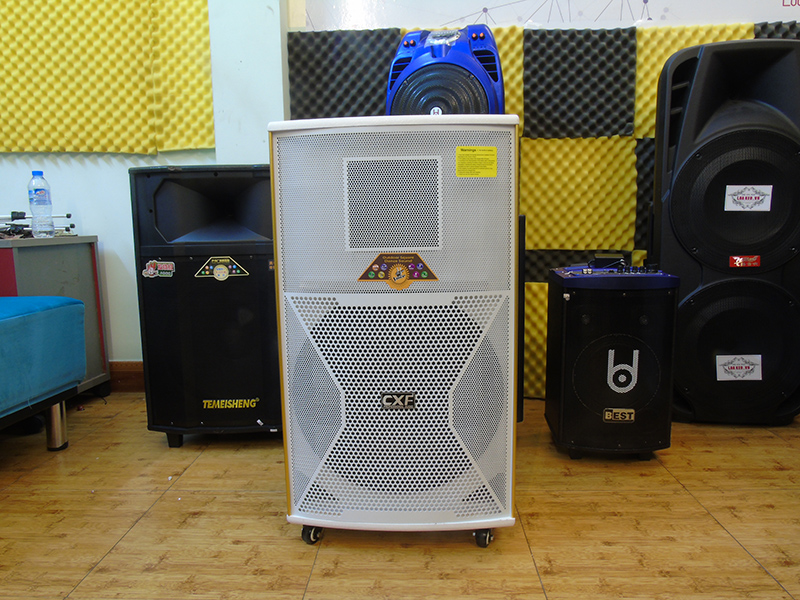 Loa kéo di động CXF 1015