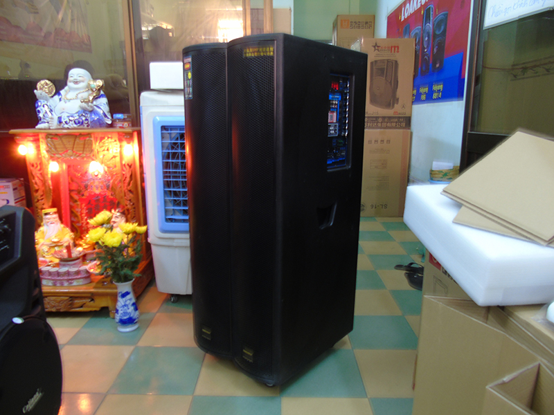 Loa Temeisheng GD 215-06