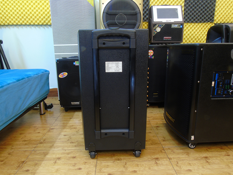 Loa TY1503