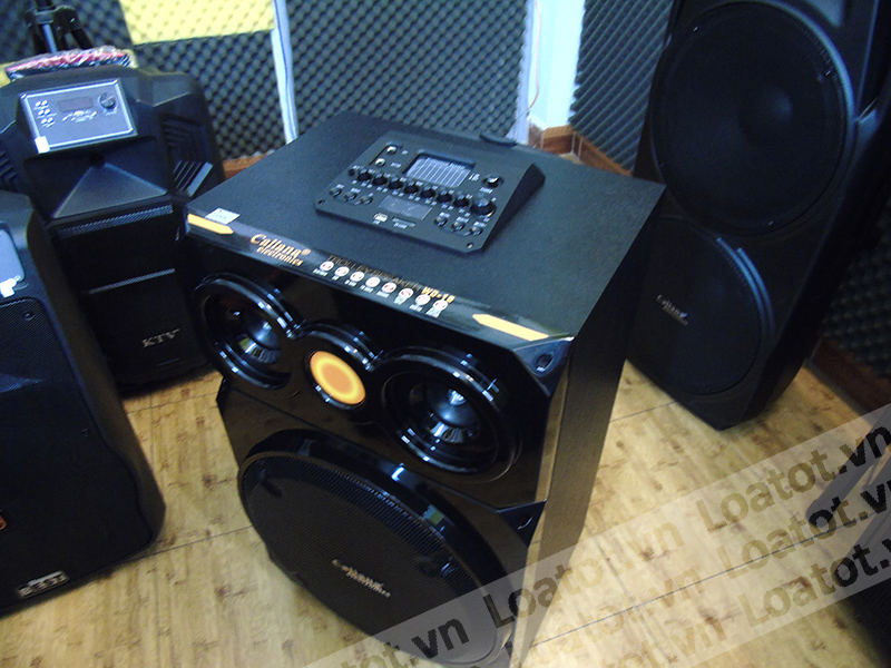 Loa kéo di động Caliana WD-15