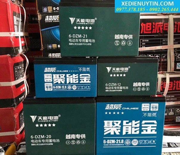 Thay ắc quy xe đạp điện Giant 133s bao nhiêu tiền