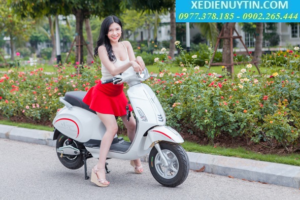 Ắc quy xe đạp điện chính hãng