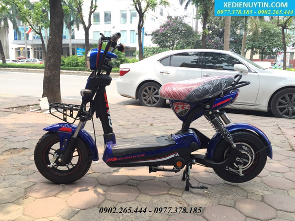 Xe đạp điện giá rẻ