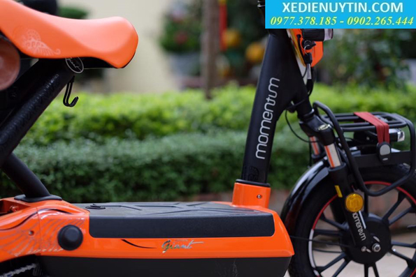 Xe đạp điện Giant m137s chính hãng