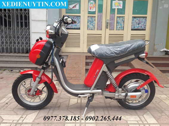Xe đạp điện Nijia giá rẻ