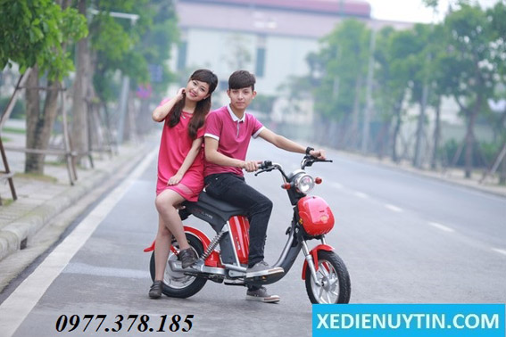 Nhược điểm của xe đạp điện Nijia