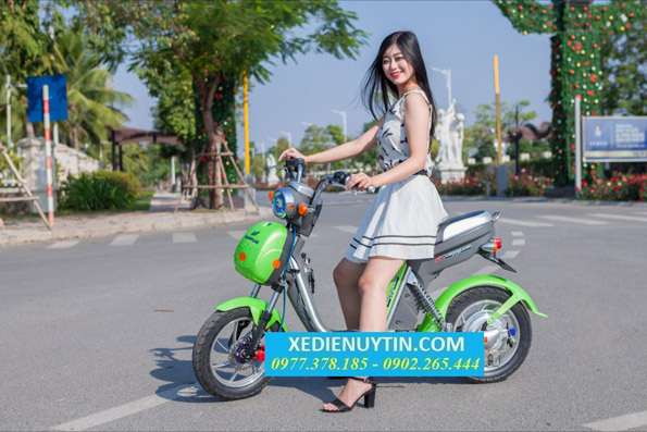 Xe đạp điện Nijia Plus 2017 nhập khẩu