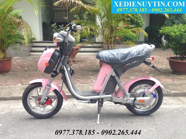 Xe đạp điện, xe máy điện chính hãng giá tốt: Với 10 triệu