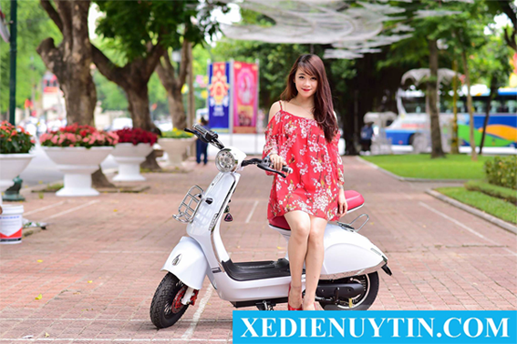 Xe điện Aima Milan II