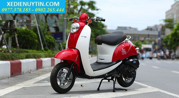 Xe Ga 50cc Scoopy Khong Cần Bằng Lai Mới 18