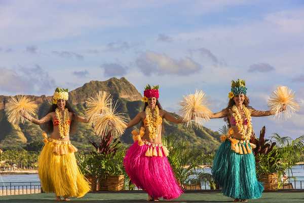Dao Hawaii