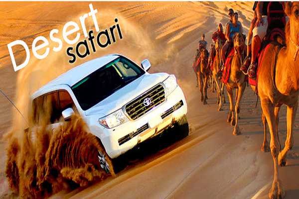 Safari Tour - Alibaba