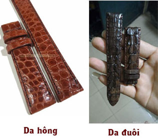 Dây đồng hồ da hông cá sấu