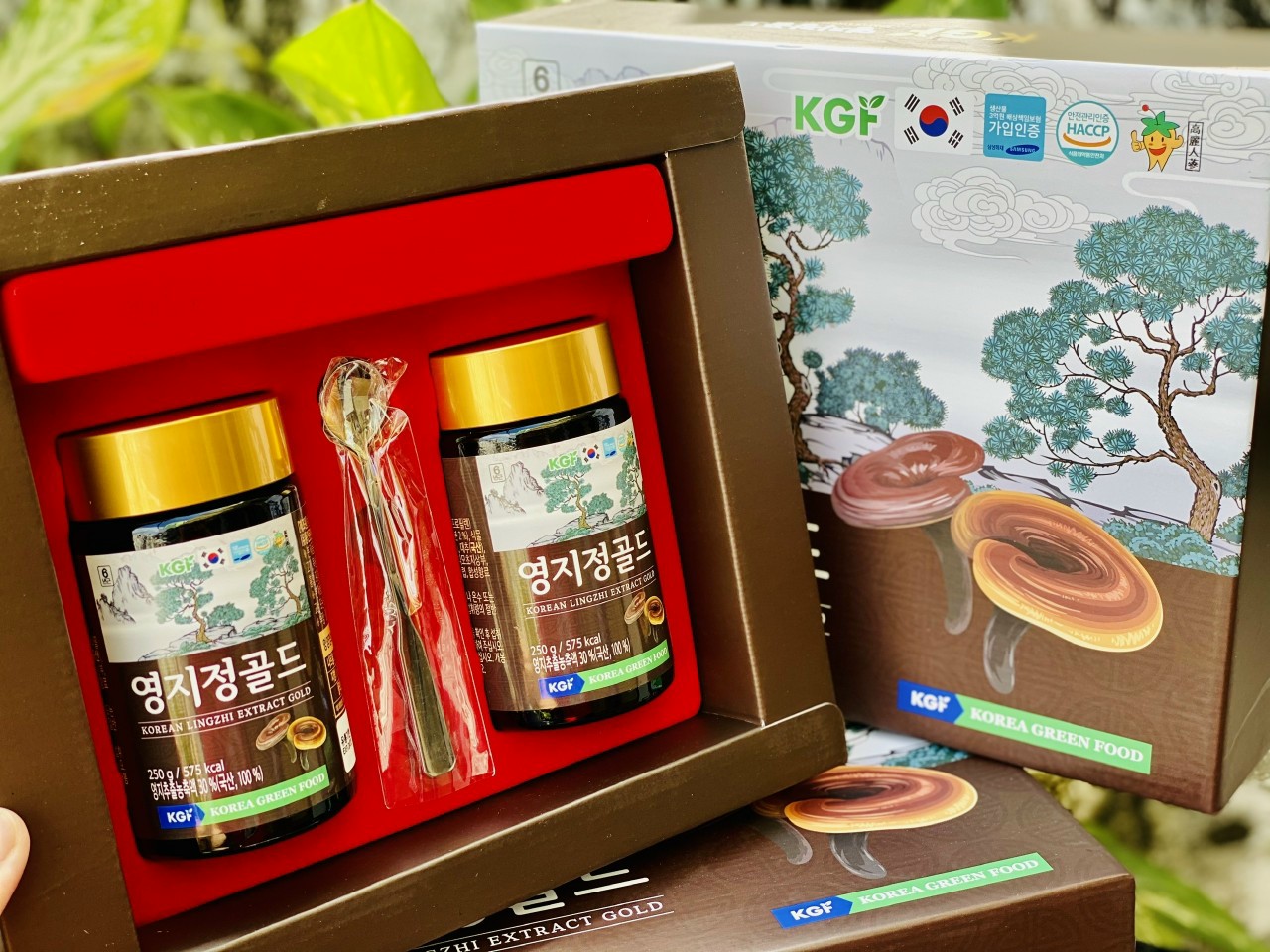 Cao linh chi núi KGF 250g x 2 lọ Kangnam Mart