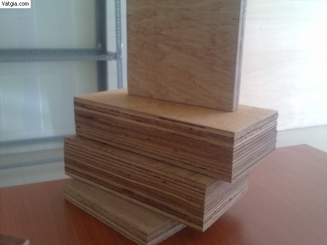 container plywood