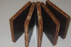 Coppha tre phủ phim