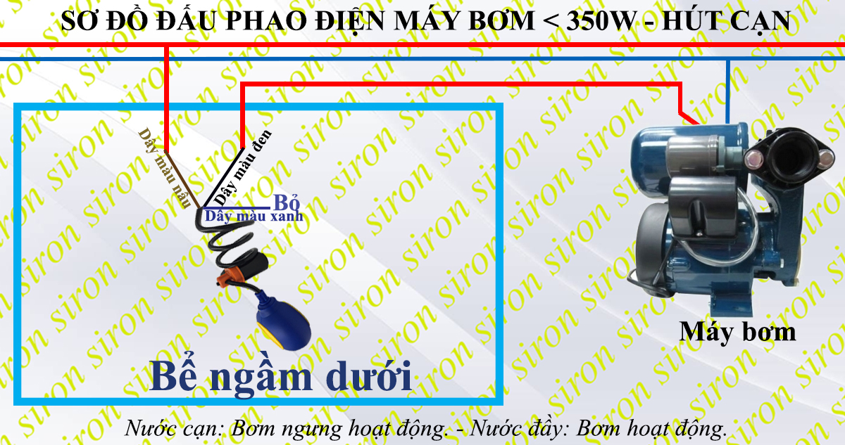 Hình ảnh bài viết