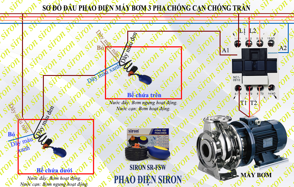 Hình ảnh bài viết