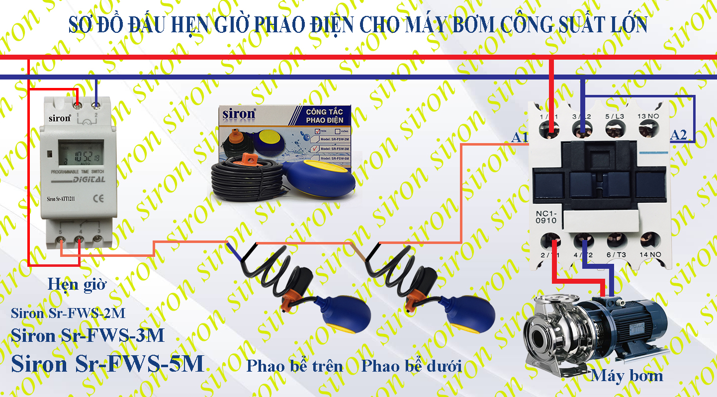 Hình ảnh bài viết