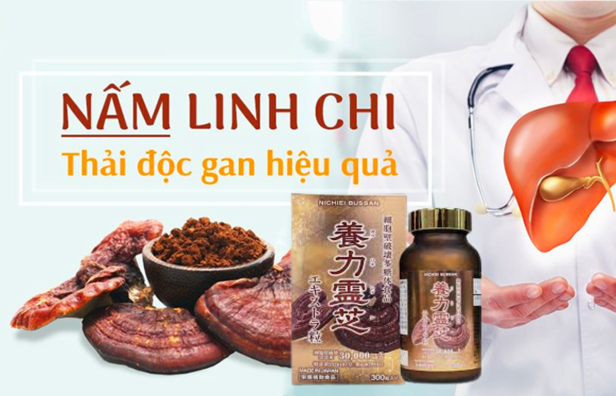 Viên Uống Nấm Linh Chi Đỏ Nichiei Bussan Nourishing Reishi Nhật Bản 300 Viên - Michiko