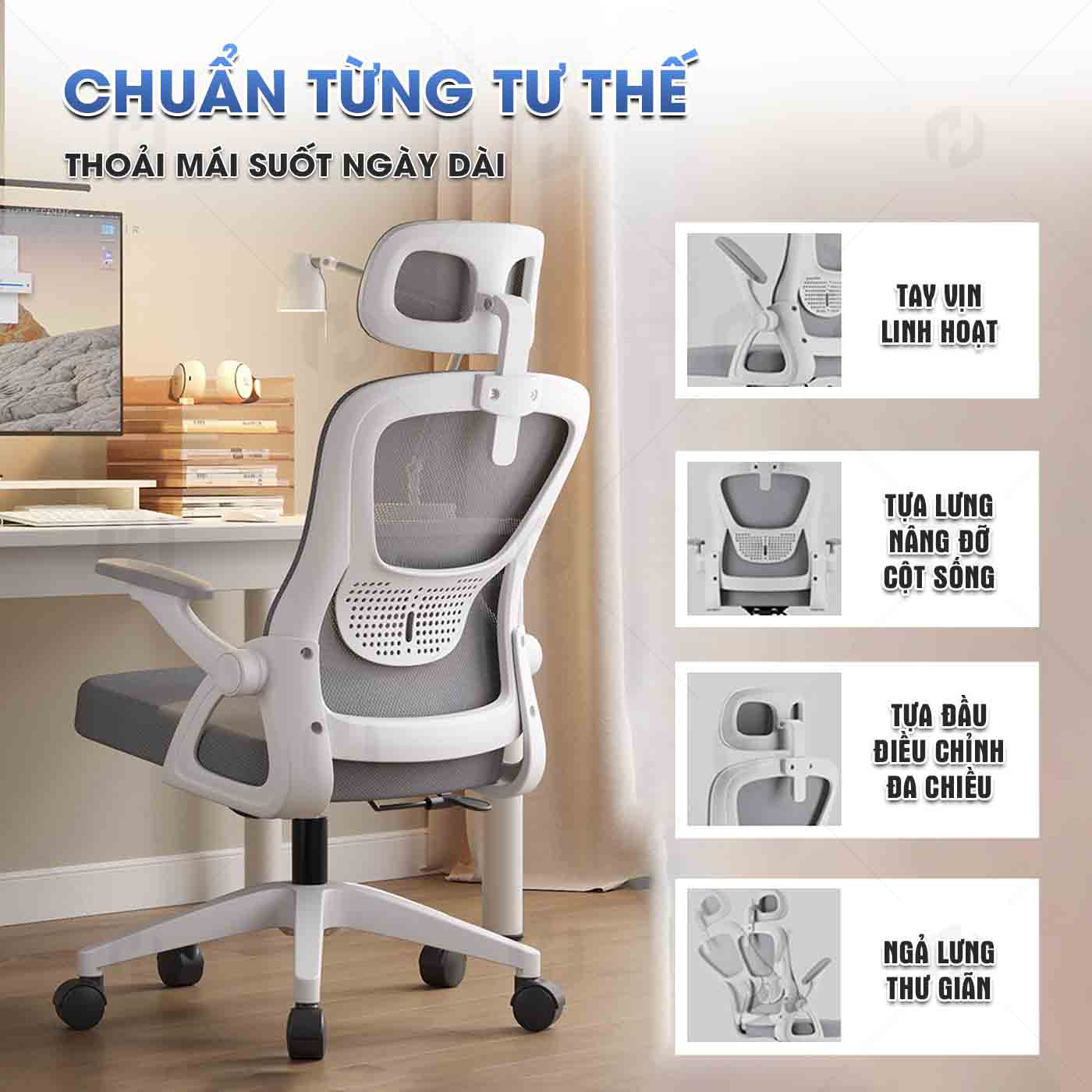 ghế công thái học