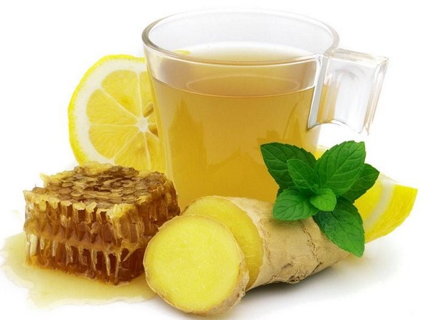 tra cho tuoi gia them suc khoe 5