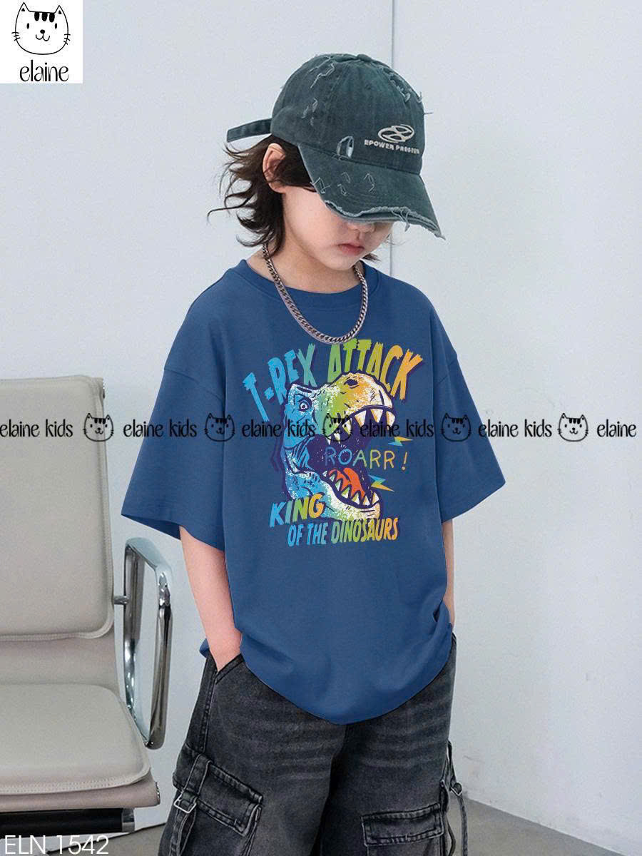 Quần áo trẻ em size đại 10-12 tuổi