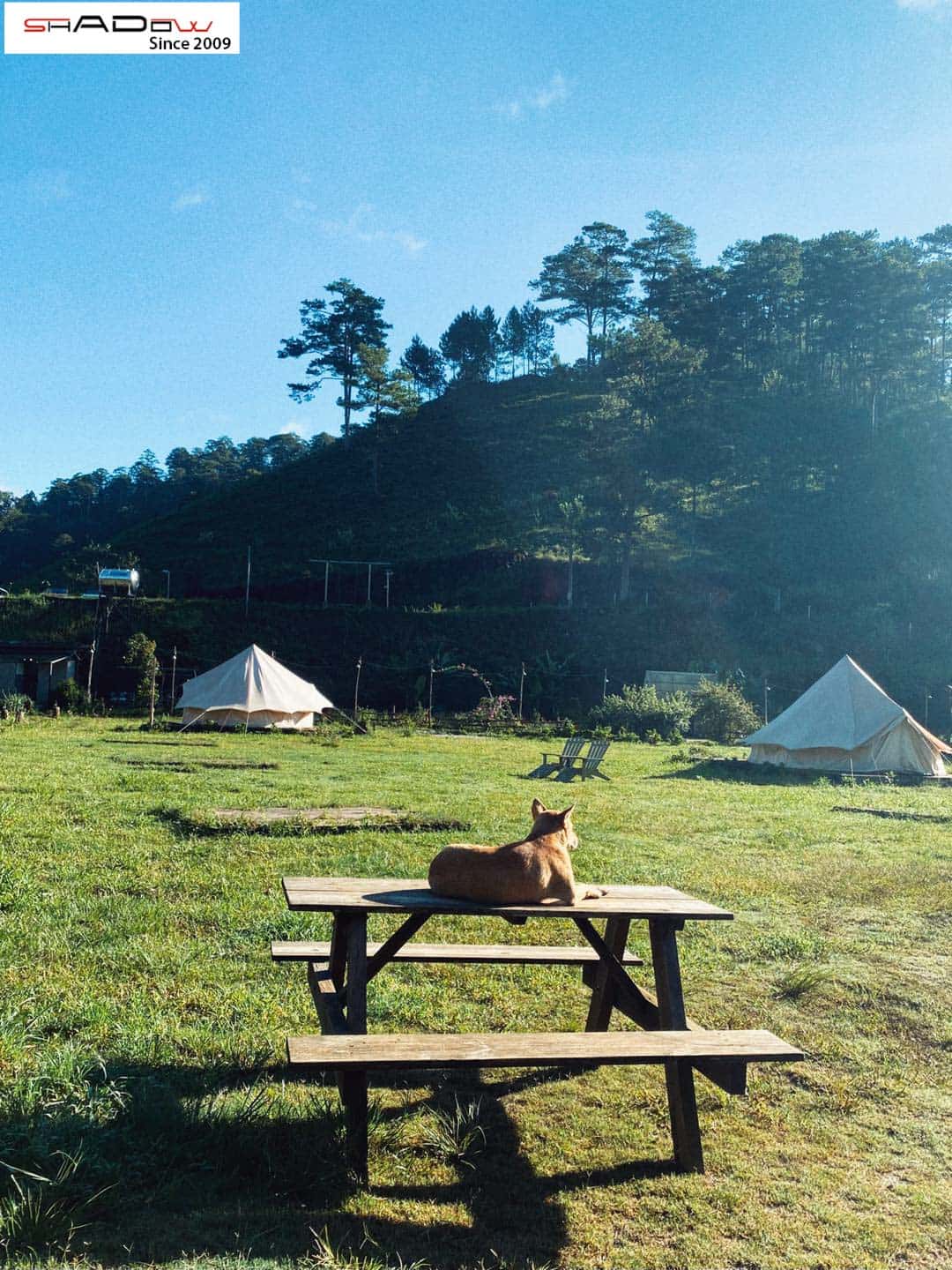 Dalat Camp