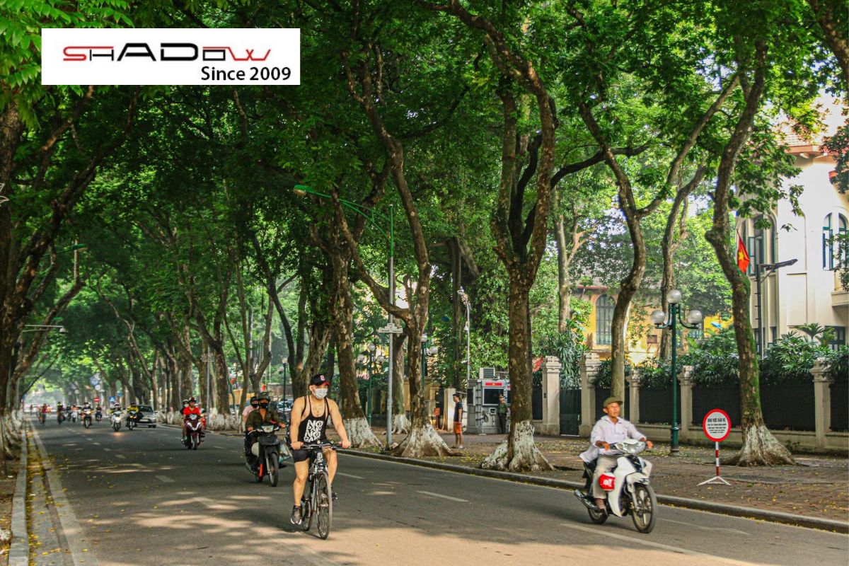 Đạp xe quanh đường Phan Đình Phùng