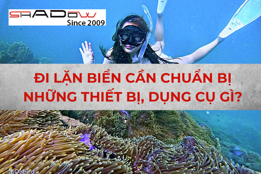 thiết bị, dụng cụ chuyên nghiệp 