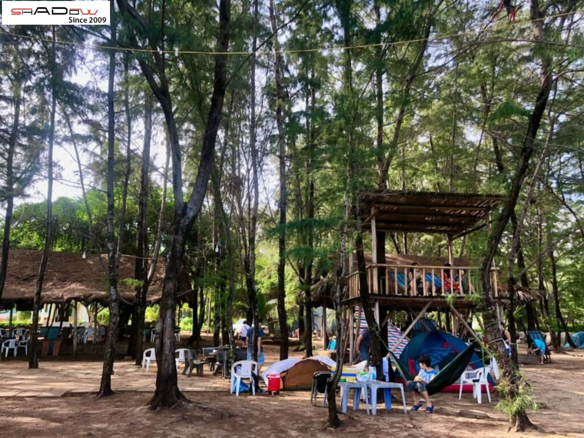 giá thuê lều cắm trại tại zenna pool camp