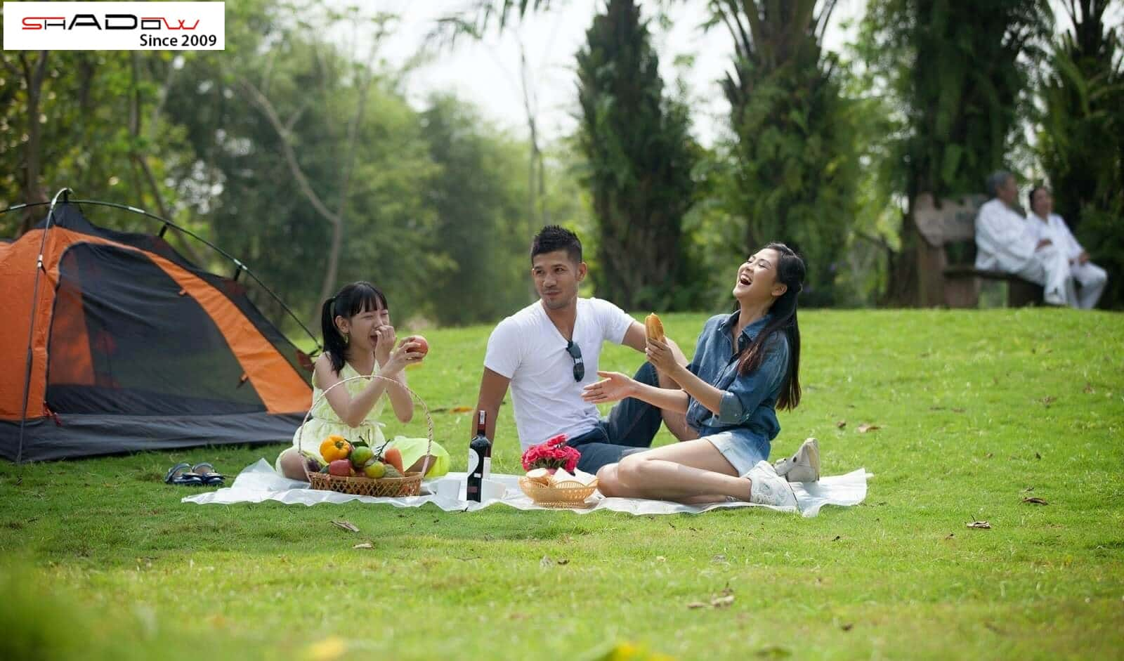 Picnic