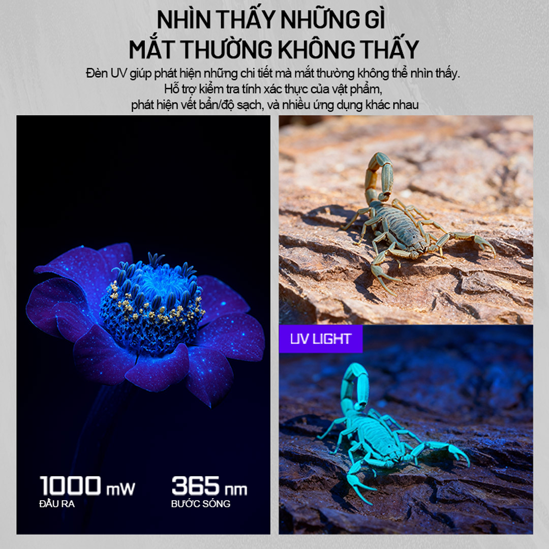 ACEBEAM UC25 – Đèn pin EDC chiến thuật đa nguồn sáng 3.100 lumen (Trắng · Laser · UV · High CRI)